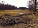looking back down 13th hole cleanup behind green