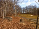View to third green Left side of #3