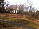 looking at tee box from right trees and brush piles