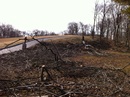 big tree down clear shot now