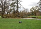 PineBy10T  Beside #10 Tee Box